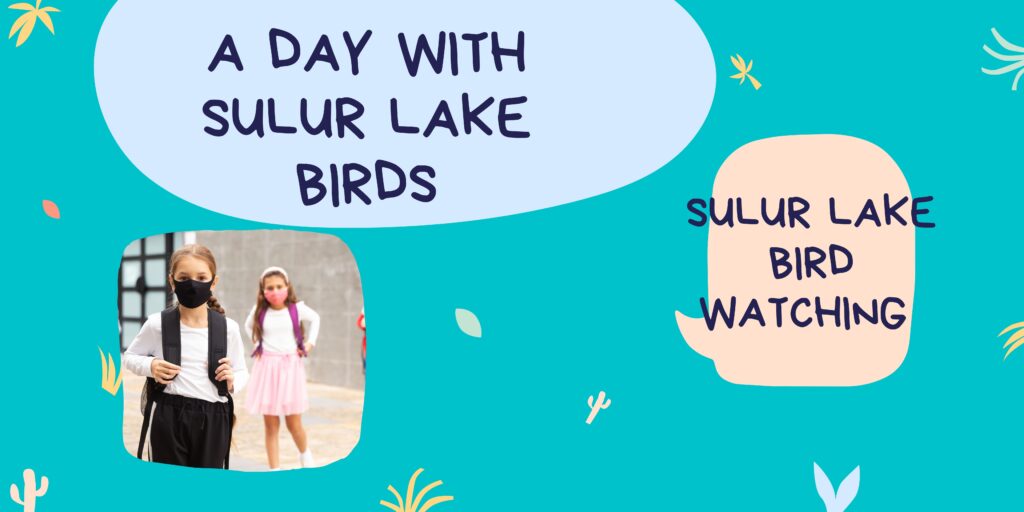 Coimbatore sulur lake bird watching